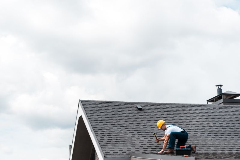 Professional Roofing Work